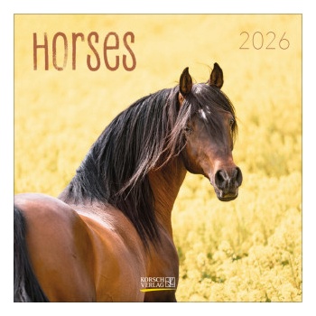 Korsch Verlag GmbH Horses 2026