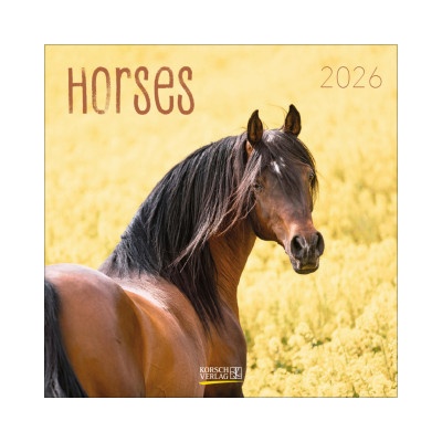 Korsch Verlag GmbH Horses 2026 | Korsch Verlag