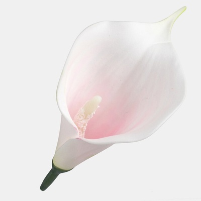 Kala mini penová hlava 13 cm, Ružová/Krémová Ø 13 cm