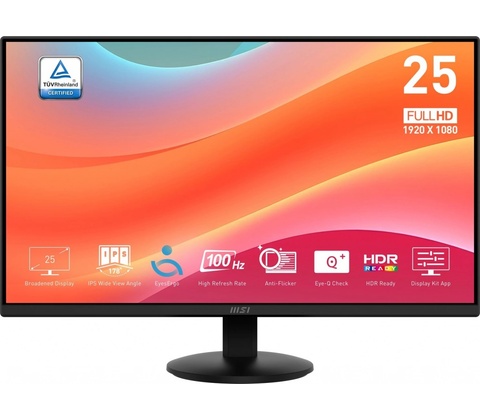 MSI Pro MP252L
