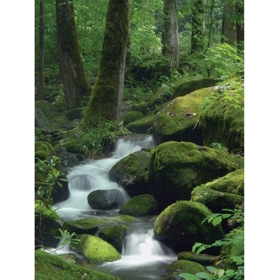 Preinterier Fototapeta panel - PL0230 - Les vlies - 206cm x 275cm