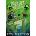 Monster Mission | Eva Ibbotson