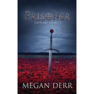 Prisoner | Megan Derr (2020)