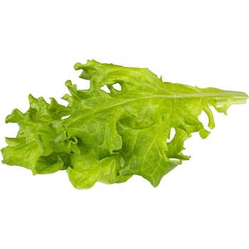 Click & Grow Семена Click and Grow - Маруля Дъбов лист, 3 пълнителя (SGR91X3)