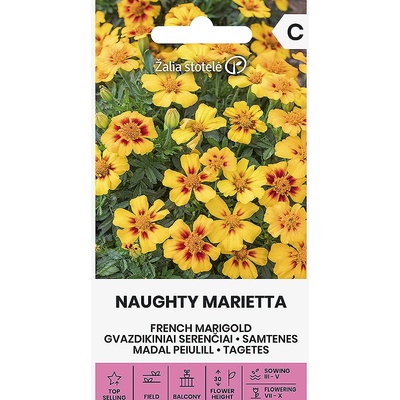 Seklos Тагетес (Френски Невен) Палава Мариета / Tagetes patula