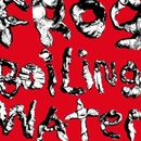 DIIV - FROG IN BOILING WATER CD