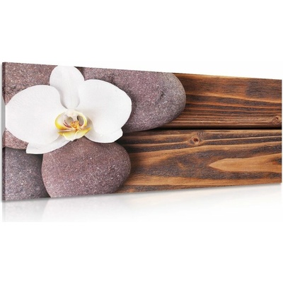 Obraz wellness kamene a orchidea na drevenom pozadí