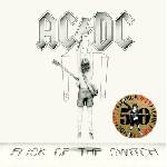 AC/DC - Flick Of The Switch (Gold Coloured) (180 g) (Anniversary Edition) (LP) (0196588734014)