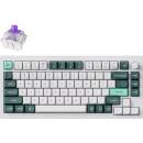 Keychron Q1H-P1