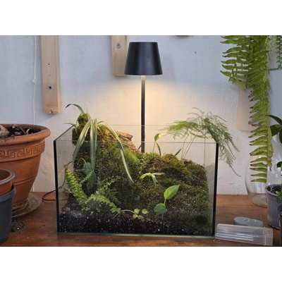 PlantBros flower Rastlinné terárium