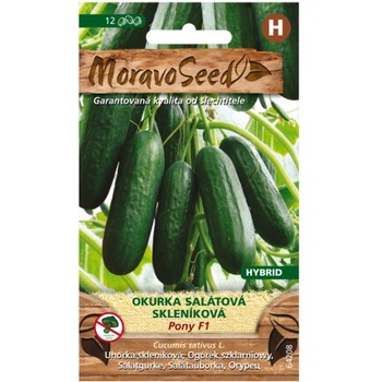 Uhorka šalátová do skleníka PONY F1 64208