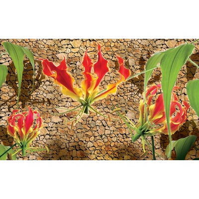 ForWall Fototapeta Lístky ľalie vlies 104 x 70,5 cm