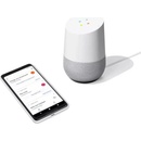 Google Home