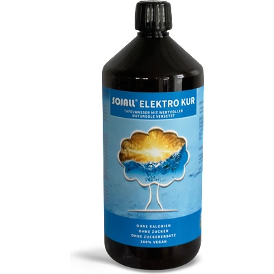 SOJALL Elektro Kur Electrolyte Water - 1.000 мл