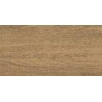 Izida ceramica ГРАНИТОГРЕС LEONARDO BROWN 30.3x60.6 8мм (9087A11)