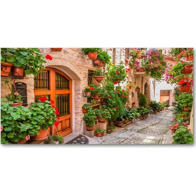 Foto obraz sklenený horizontálny očarujúce ulička 100x50 cm