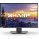 NEC EA242W-BK