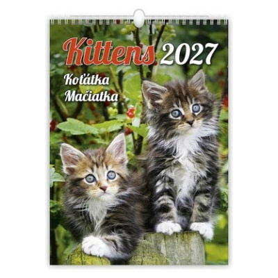 koťátka nástěnný k2027