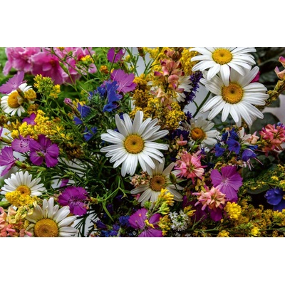 DIMEX ART Флизелинов фототапет пъстър букет 375 x 250 см