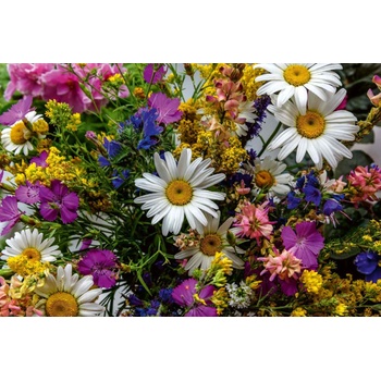 DIMEX ART Флизелинов фототапет пъстър букет 375 x 250 см