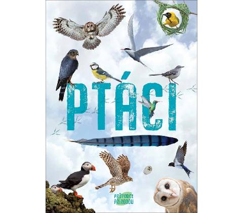 Ptáci