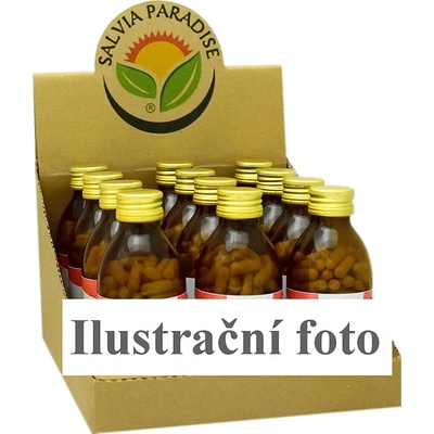 Salvia Paradise CZ BOX Ašvaganda vitánie kapsle BIO 12 x 120 ks