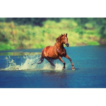 DIMEX ART s. r. o Флизелинов фототапет кон тича през езерото 375 x 250 см