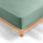 douceur d'intérieur Зелен еластичен чаршаф от памук перкал 160x200 cm Percaline - douceur d'intérieur (1644647)