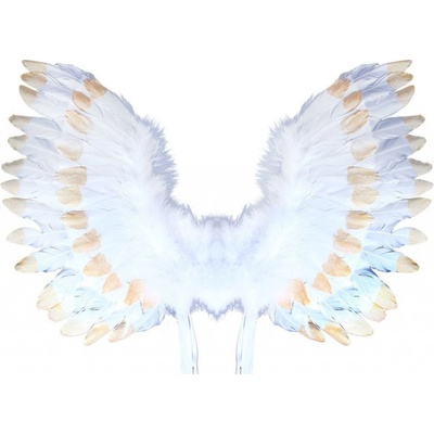 Rappa Krídla anjelská s perím bielozlatá