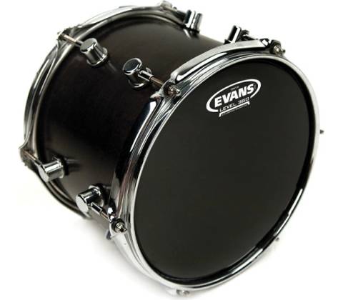 Evans B 12 ONX 2
