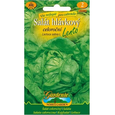 Salát hlávkový celoroční Lento