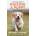 Ultimate Guide to Raising a Puppy | Victoria Stilwell