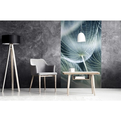 Dimex MS-2-0123 vliesová fototapeta na zeď Pampeliška Makro rozměry 150 x 250 cm