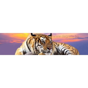 Image 1 of Пано Тигър 2