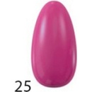 Regina lak na nehty R25 8 ml