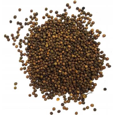KOSMATA OZIMA REA POLON KRMIVO ZELENÉ 1 KG