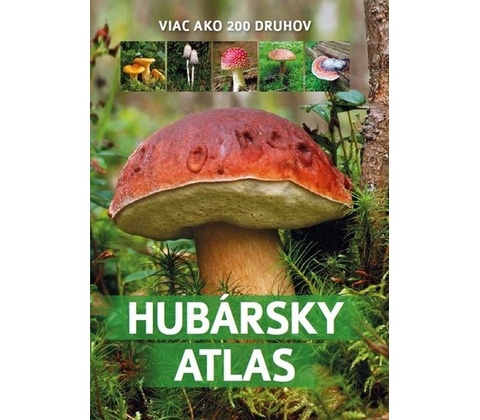 Atlas húb