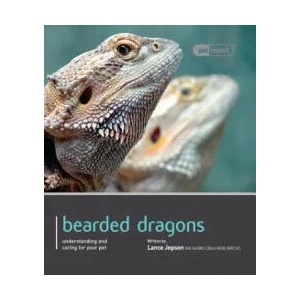Bearded Dragon - Pet Expert | Lance Jepson (ISBN: 9781907337154)