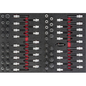 VIGOR V4753