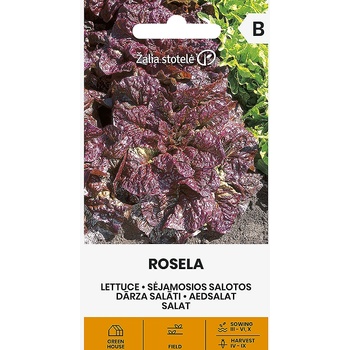 Image 1 of Seklos Червена Маруля Розела Rosela