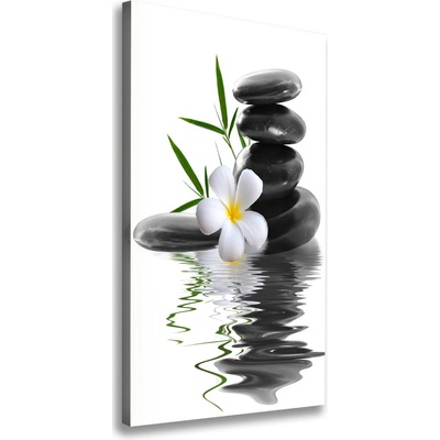 Vertikálny foto obraz na plátne Orchidea a kamene 50x100 cm
