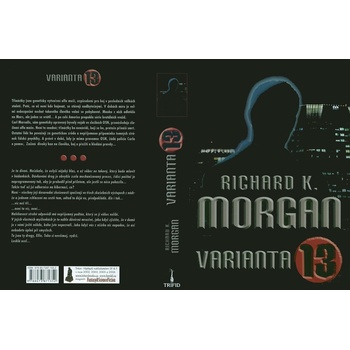 Varianta 13