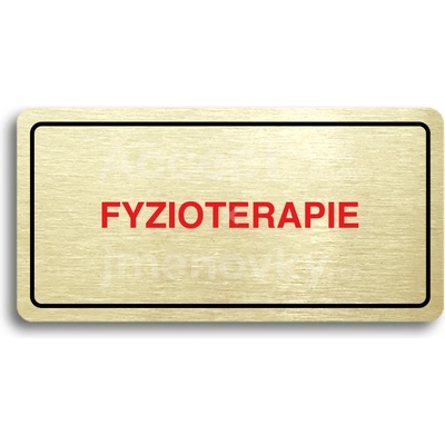 ACCEPT Piktogram FYZIOTERAPIE - zlatá tabulka - barevný tisk