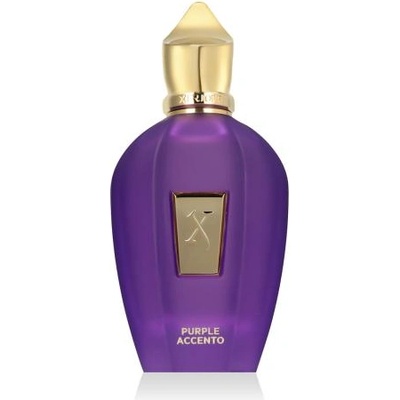 Xerjoff V Collection Purple Accento 100 ml eau de parfum тестер унисекс