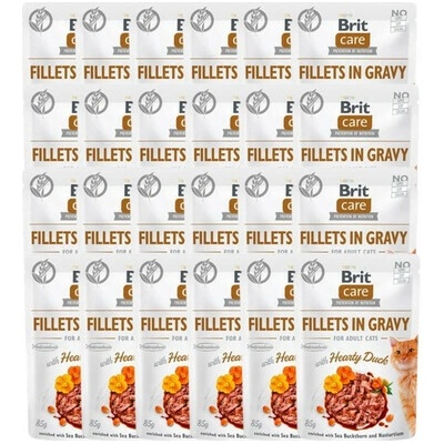 BRIT Care Fillets in Gravy Mix příchutí kachní a lososové filety v omáčce pro kočky 48 x 85 g