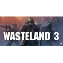 Wasteland 3
