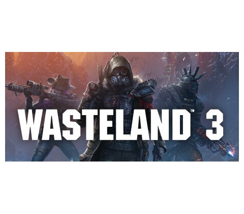 Wasteland 3