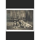 Dogs - William Wegman