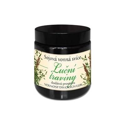 Hanna Maria LUČNÍ TRAVINY 100 ml
