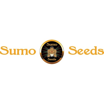 Sumo Seeds Neville Express semienka neobsahujú THC 3 ks
